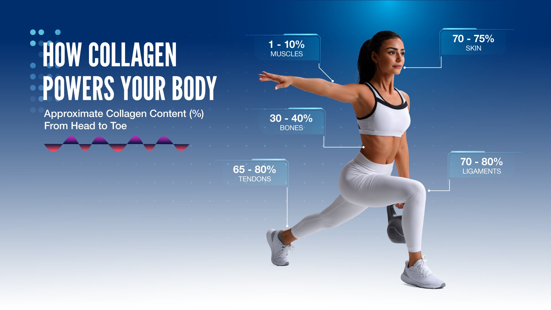 How Collagen Powers your body inforgraphic